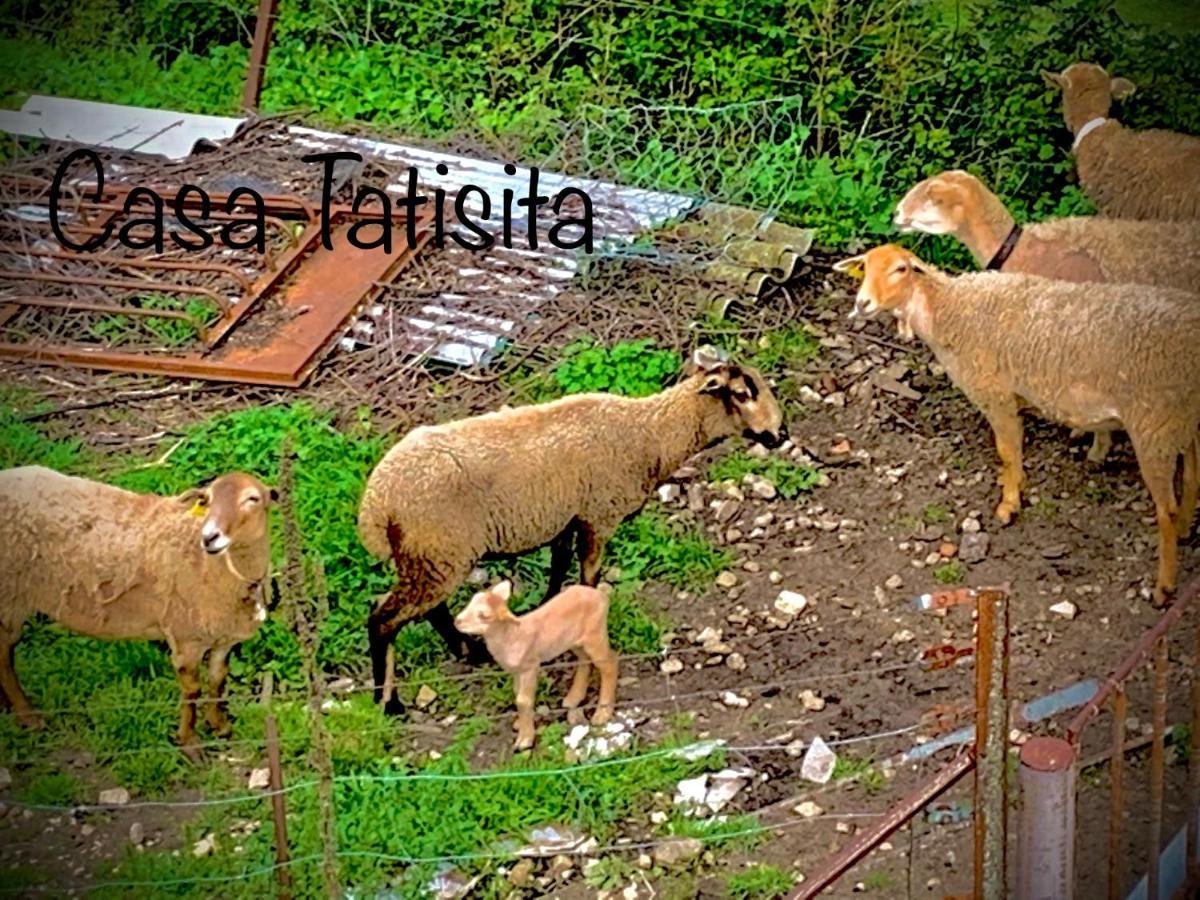 Casa Tatisita Luna سيغورا دي لا سييرا المظهر الخارجي الصورة